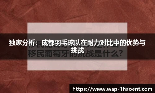 独家分析:成都羽毛球队在耐力对比中的优势与挑战